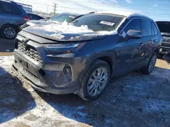 JTMN1RFV8PD097168 2023 TOYOTA RAV 4