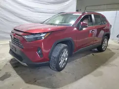 JTMN1RFV8PD098935 2023 TOYOTA RAV 4