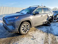 JTMN1RFV8RD107488 2024 TOYOTA RAV 4