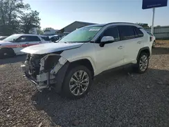 JTMN1RFV9KD510496 2019 TOYOTA RAV 4