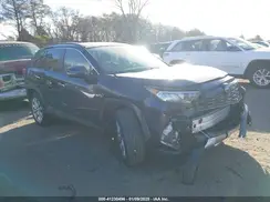 JTMN1RFV9KD522034 2019 TOYOTA RAV 4