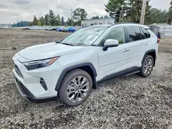 JTMN1RFV9SJ045686 2025 TOYOTA RAV 4