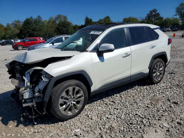 JTMN1RFVXKD519627 2019 TOYOTA RAV 4 - Image 1