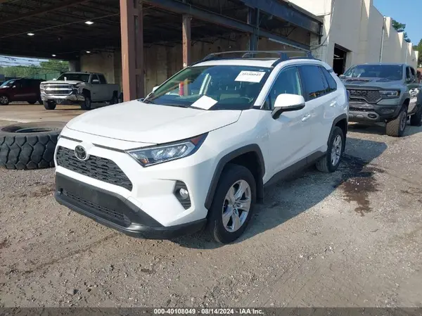JTMP1RFV0KD020442 2019 TOYOTA RAV 4 - Image 2