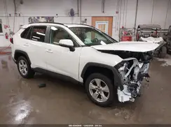 JTMP1RFV0KD026807 2019 TOYOTA RAV 4
