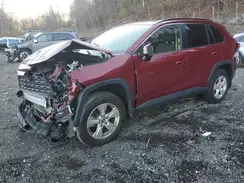 JTMP1RFV0KD504434 2019 TOYOTA RAV 4