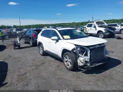 JTMP1RFV0KD516518 2019 TOYOTA RAV 4