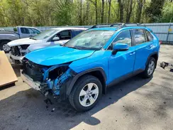 JTMP1RFV0KD516597 2019 TOYOTA RAV 4