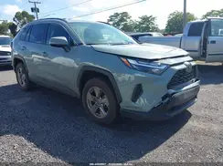 JTMP1RFV0RJ042372 2024 TOYOTA RAV 4