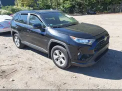 JTMP1RFV1KD010034 2019 TOYOTA RAV 4
