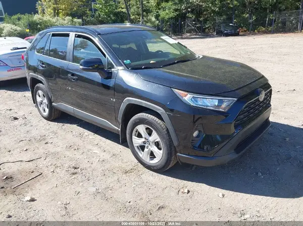 JTMP1RFV1KD010034 2019 TOYOTA RAV 4 - Image 1