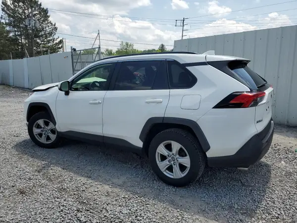 JTMP1RFV1KD020434 2019 TOYOTA RAV 4 - Image 2