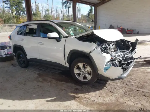 JTMP1RFV1KD030896 2019 TOYOTA RAV 4 - Image 1