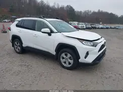 JTMP1RFV1KD037072 2019 TOYOTA RAV 4