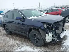 JTMP1RFV1KD505169 2019 TOYOTA RAV 4