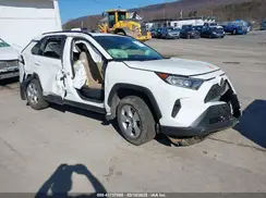 JTMP1RFV1MD531662 2021 TOYOTA RAV 4