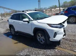 JTMP1RFV1PD093939 2023 TOYOTA RAV 4