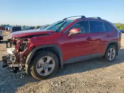 JTMP1RFV1PD099272 2023 TOYOTA RAV 4