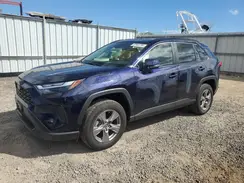 JTMP1RFV1RJ042607 2024 TOYOTA RAV 4