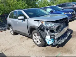 JTMP1RFV2KD009989 2019 TOYOTA RAV 4