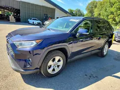 JTMP1RFV2KD013119 2019 TOYOTA RAV 4