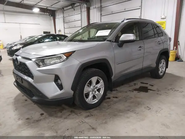 JTMP1RFV2KD503950 2019 TOYOTA RAV 4 - Image 2