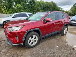 JTMP1RFV2KD506329 2019 TOYOTA RAV 4