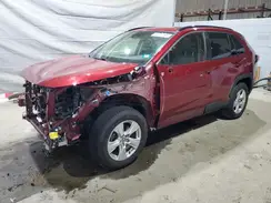 JTMP1RFV2KD518514 2019 TOYOTA RAV 4