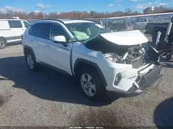 JTMP1RFV2KJ021156 2019 TOYOTA RAV 4