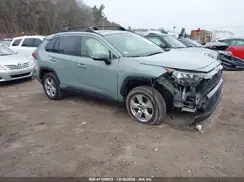 JTMP1RFV2LD529515 2020 TOYOTA RAV 4