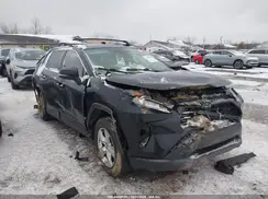 JTMP1RFV3KD014263 2019 TOYOTA RAV 4