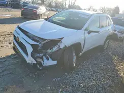 JTMP1RFV3KD024890 2019 TOYOTA RAV 4