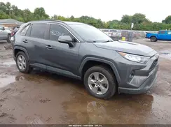 JTMP1RFV3KD026672 2019 TOYOTA RAV 4