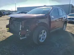 JTMP1RFV3KD035596 2019 TOYOTA RAV 4