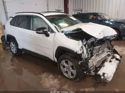 JTMP1RFV3KD041768 2019 TOYOTA RAV 4