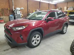 JTMP1RFV3KD046050 2019 TOYOTA RAV 4