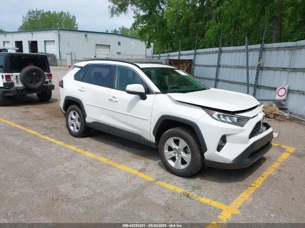 JTMP1RFV3KD046162 2019 TOYOTA RAV 4 - Image 1