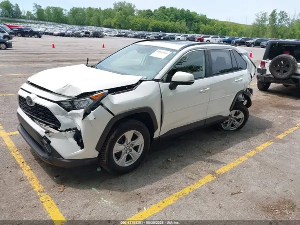 JTMP1RFV3KD046162 2019 TOYOTA RAV 4 - Image 2