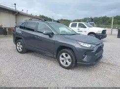 JTMP1RFV3KD504623 2019 TOYOTA RAV 4