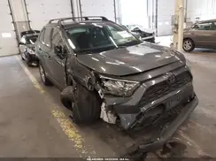 JTMP1RFV3KD523060 2019 TOYOTA RAV 4