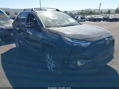 JTMP1RFV3SJ046437 2025 TOYOTA RAV 4