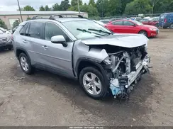 JTMP1RFV4KD012750 2019 TOYOTA RAV 4