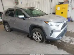JTMP1RFV4KD021125 2019 TOYOTA RAV 4