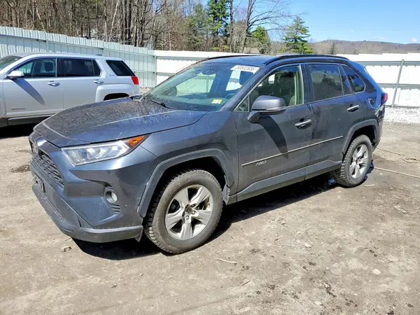 JTMP1RFV4KD029497 2019 TOYOTA RAV 4 - Image 1
