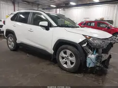 JTMP1RFV4KD031024 2019 TOYOTA RAV 4