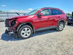 JTMP1RFV4KD505702 2019 TOYOTA RAV 4