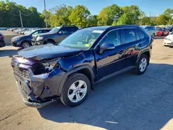 JTMP1RFV4KD507126 2019 TOYOTA RAV 4