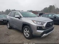 JTMP1RFV4KD512391 2019 TOYOTA RAV 4