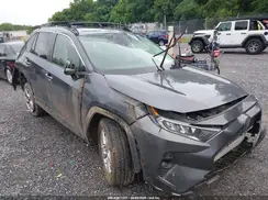 JTMP1RFV4KD521897 2019 TOYOTA RAV 4