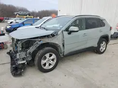 JTMP1RFV4KJ019926 2019 TOYOTA RAV 4